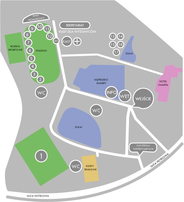 Mapa - Niedziela